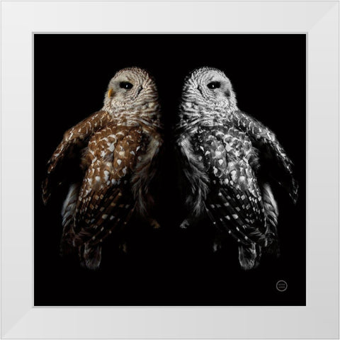 Still a Life White Modern Wood Framed Art Print by Larson, Nathan