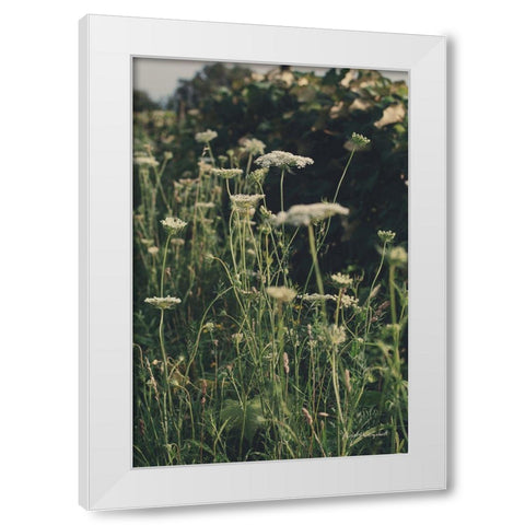 Running Wild II White Modern Wood Framed Art Print by Urquhart, Elizabeth