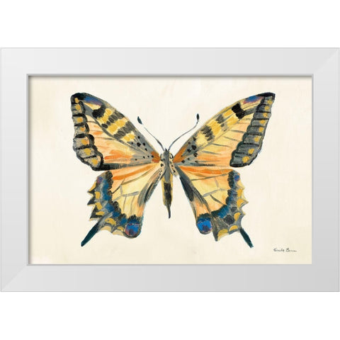 Butterfly Study II White Modern Wood Framed Art Print by Zaman, Farida