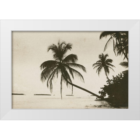 Palm Beach I White Modern Wood Framed Art Print by Wild Apple Portfolio