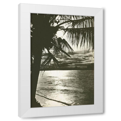 Palm Beach II White Modern Wood Framed Art Print by Wild Apple Portfolio