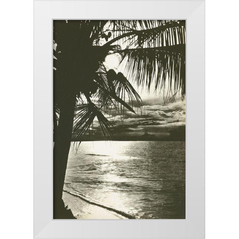 Palm Beach II White Modern Wood Framed Art Print by Wild Apple Portfolio