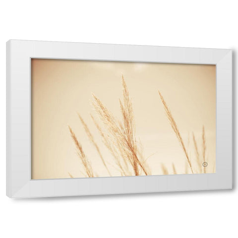 Summer Fields White Modern Wood Framed Art Print by Larson, Nathan
