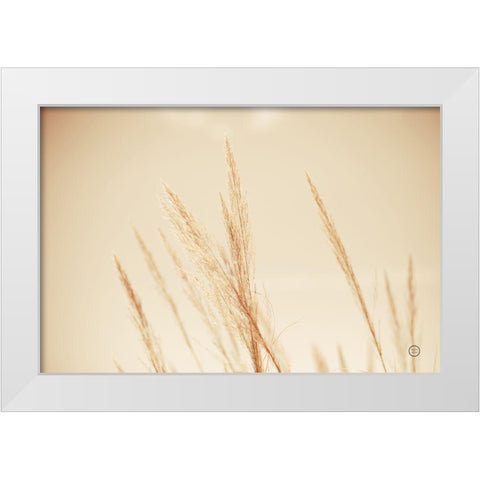 Summer Fields White Modern Wood Framed Art Print by Larson, Nathan