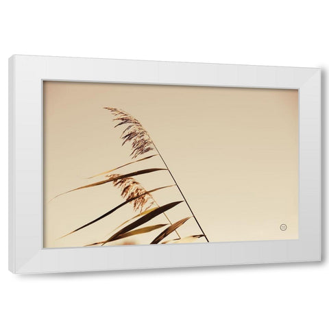Windswept Grasses White Modern Wood Framed Art Print by Larson, Nathan