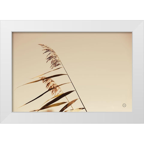 Windswept Grasses White Modern Wood Framed Art Print by Larson, Nathan
