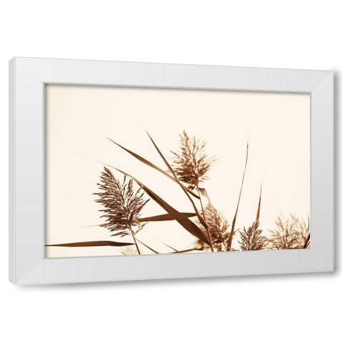 Country Grasses I White Modern Wood Framed Art Print by Larson, Nathan