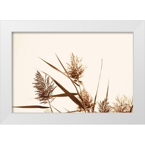 Country Grasses I White Modern Wood Framed Art Print by Larson, Nathan