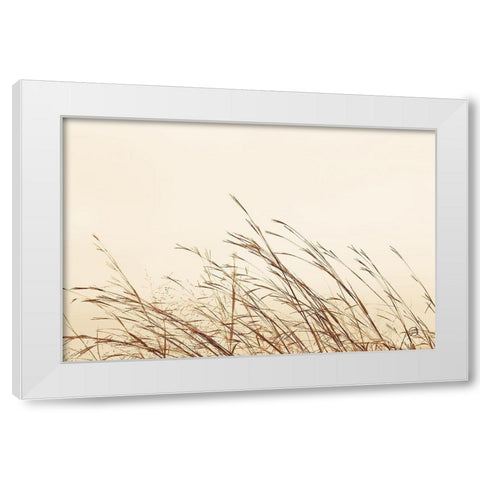 Country Grasses II White Modern Wood Framed Art Print by Larson, Nathan