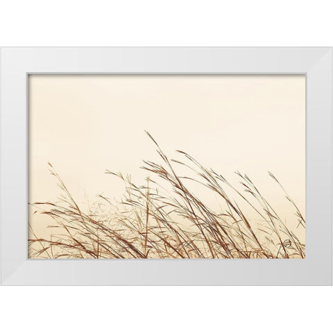 Country Grasses II White Modern Wood Framed Art Print by Larson, Nathan
