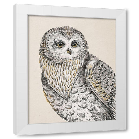 Beautiful Owls IV Vintage White Modern Wood Framed Art Print by Brissonnet, Daphne