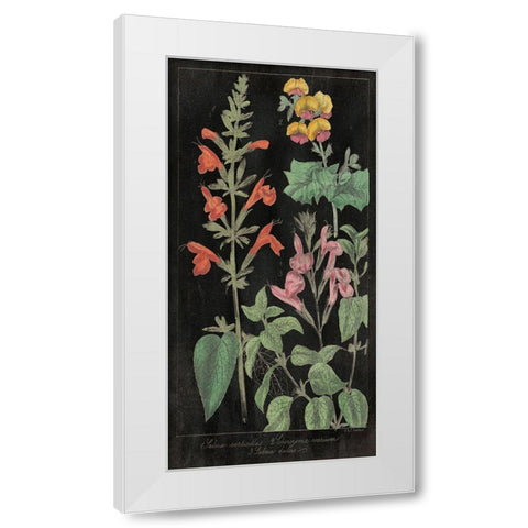 Salvia Florals I on Black White Modern Wood Framed Art Print by Wild Apple Portfolio