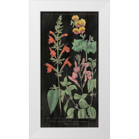 Salvia Florals I on Black White Modern Wood Framed Art Print by Wild Apple Portfolio