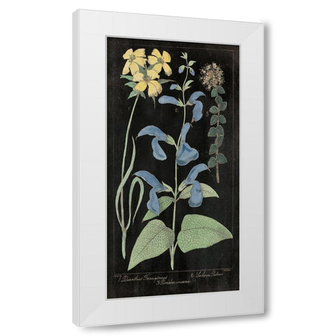 Salvia Florals II on Black White Modern Wood Framed Art Print by Wild Apple Portfolio