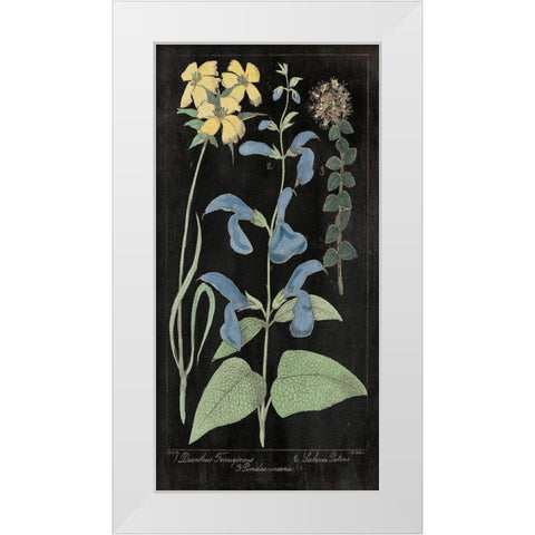 Salvia Florals II on Black White Modern Wood Framed Art Print by Wild Apple Portfolio