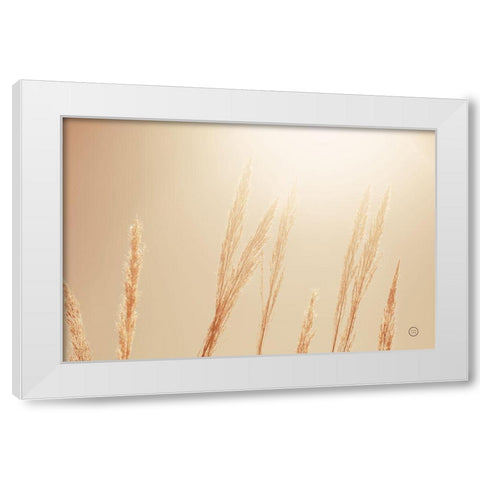 Noon Grasses II White Modern Wood Framed Art Print by Larson, Nathan