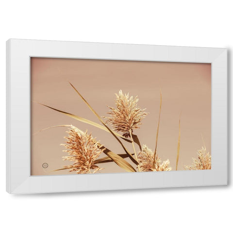 Noon Grasses III White Modern Wood Framed Art Print by Larson, Nathan