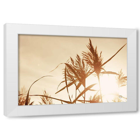 Noon Grasses IV White Modern Wood Framed Art Print by Larson, Nathan