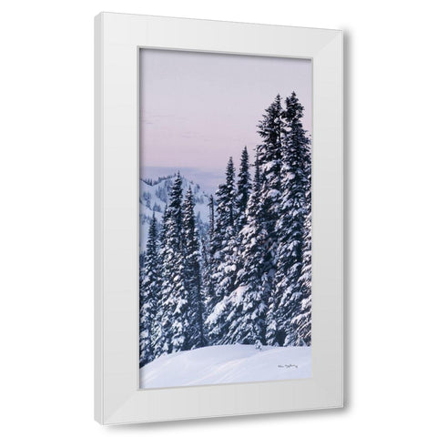 Tatoosh Range Panel III White Modern Wood Framed Art Print by Majchrowicz, Alan