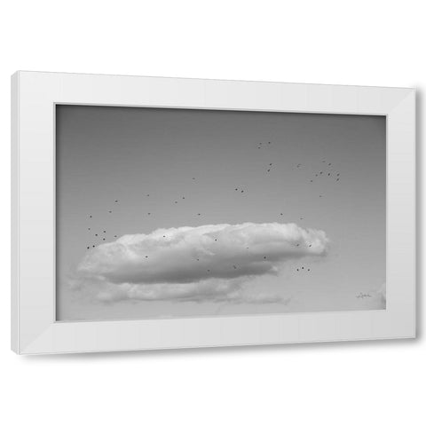Flock in Flight White Modern Wood Framed Art Print by Aledanda