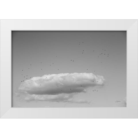 Flock in Flight White Modern Wood Framed Art Print by Aledanda