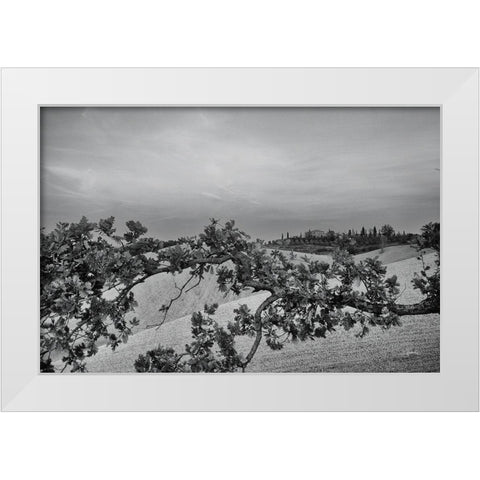 Villa View White Modern Wood Framed Art Print by Aledanda