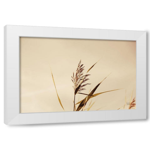 Summer Reeds II White Modern Wood Framed Art Print by Larson, Nathan