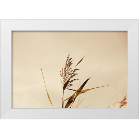 Summer Reeds II White Modern Wood Framed Art Print by Larson, Nathan