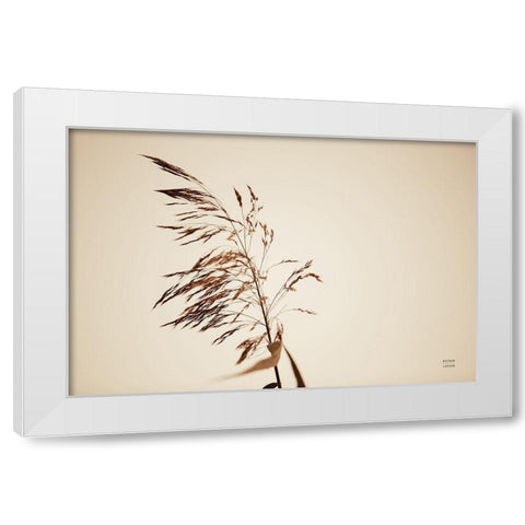 Summer Reeds III White Modern Wood Framed Art Print by Larson, Nathan