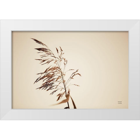 Summer Reeds III White Modern Wood Framed Art Print by Larson, Nathan