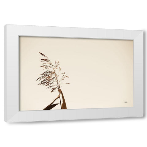 Summer Reeds IV White Modern Wood Framed Art Print by Larson, Nathan