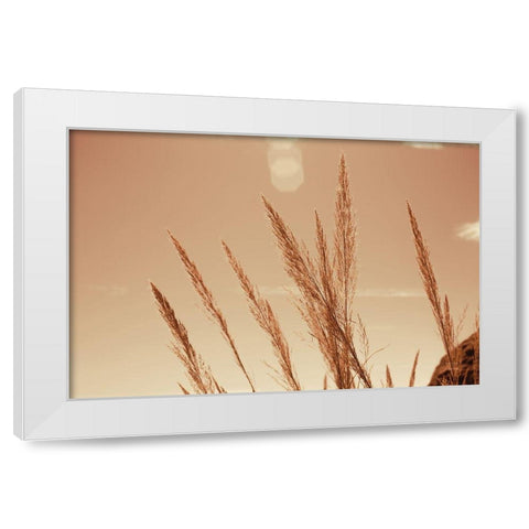 Lakeside Grasses VI White Modern Wood Framed Art Print by Larson, Nathan