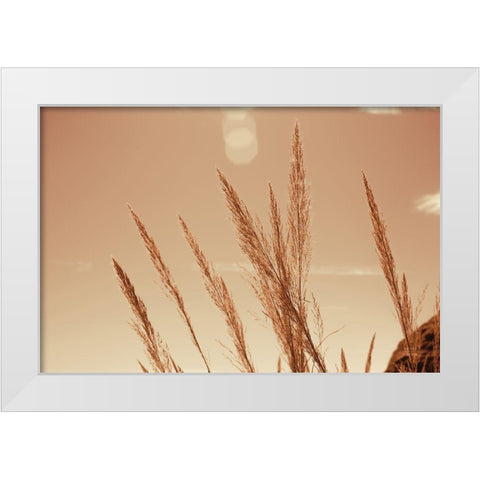 Lakeside Grasses VI White Modern Wood Framed Art Print by Larson, Nathan