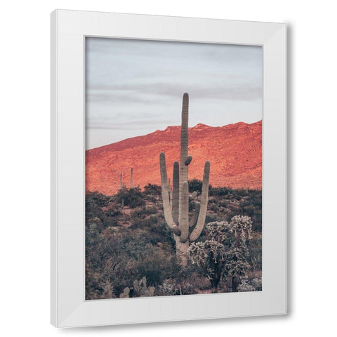 Sunsets and Saguaros I White Modern Wood Framed Art Print by Larson, Nathan