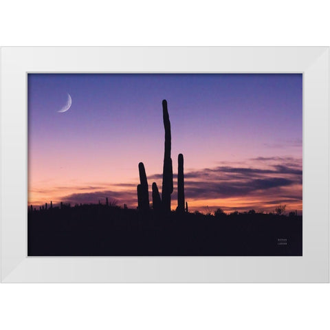 Desert Moons White Modern Wood Framed Art Print by Larson, Nathan