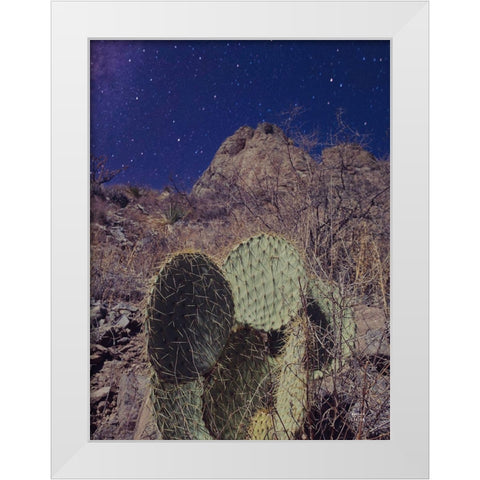 Prickly Stars White Modern Wood Framed Art Print by Larson, Nathan