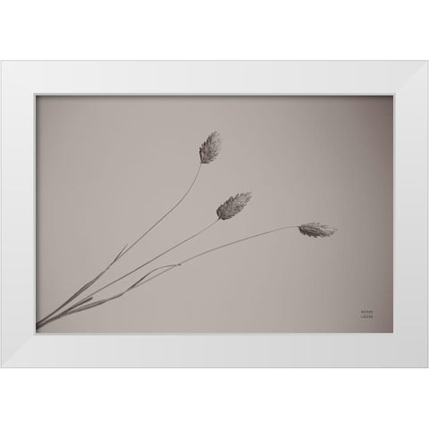 Grass Study White Modern Wood Framed Art Print by Larson, Nathan