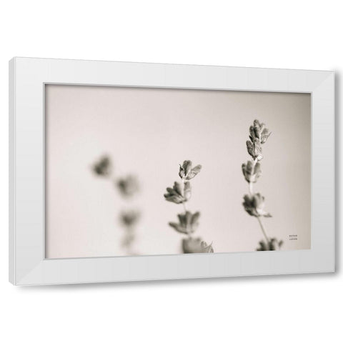 Lavender Study White Modern Wood Framed Art Print by Larson, Nathan