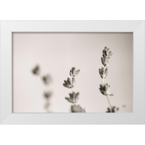 Lavender Study White Modern Wood Framed Art Print by Larson, Nathan
