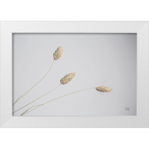 Grass Study Color White Modern Wood Framed Art Print by Larson, Nathan