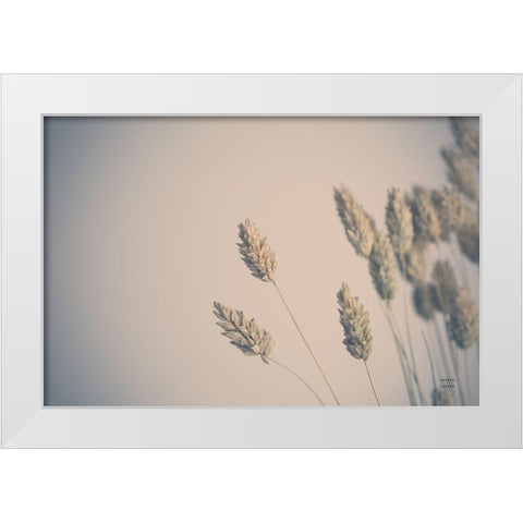 Dried Grass Study White Modern Wood Framed Art Print by Larson, Nathan
