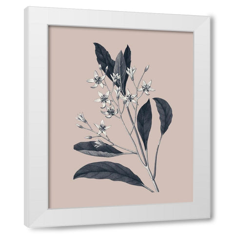 Botanical V on Pink White Modern Wood Framed Art Print by Wild Apple Portfolio