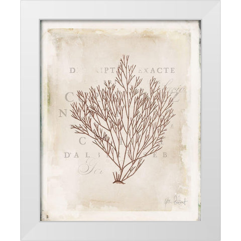 Sea Garden II Brown White Modern Wood Framed Art Print by Pertiet, Katie