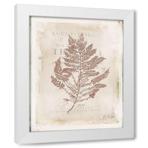 Sea Garden III Brown White Modern Wood Framed Art Print by Pertiet, Katie