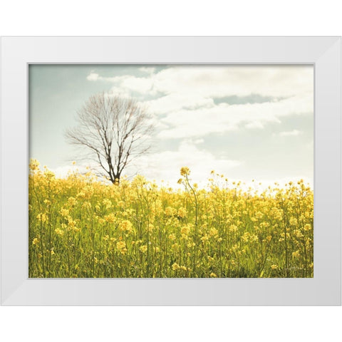 Yellow Meadow White Modern Wood Framed Art Print by Aledanda