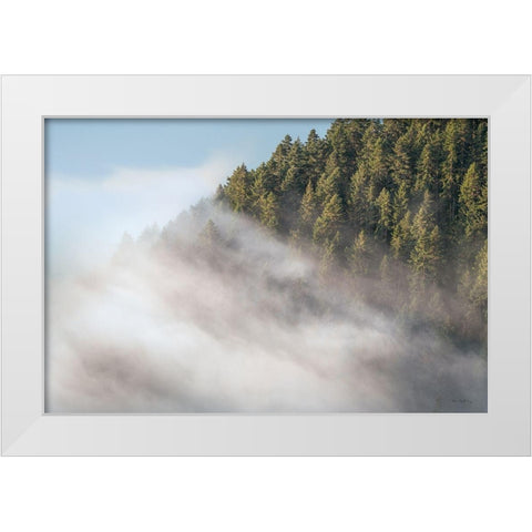 Fog and Forest I White Modern Wood Framed Art Print by Majchrowicz, Alan