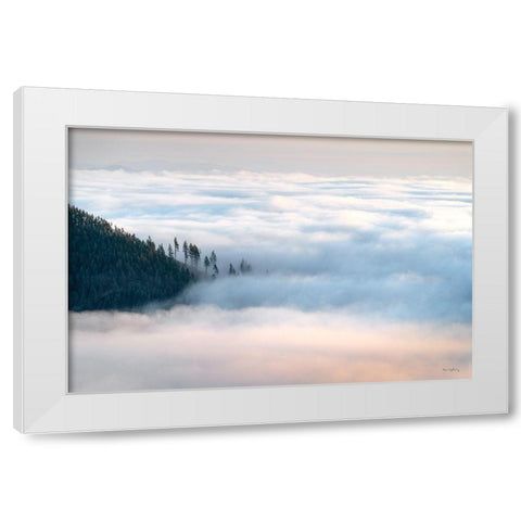 Fog and Forest III White Modern Wood Framed Art Print by Majchrowicz, Alan