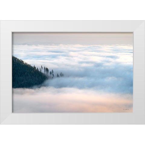 Fog and Forest III White Modern Wood Framed Art Print by Majchrowicz, Alan