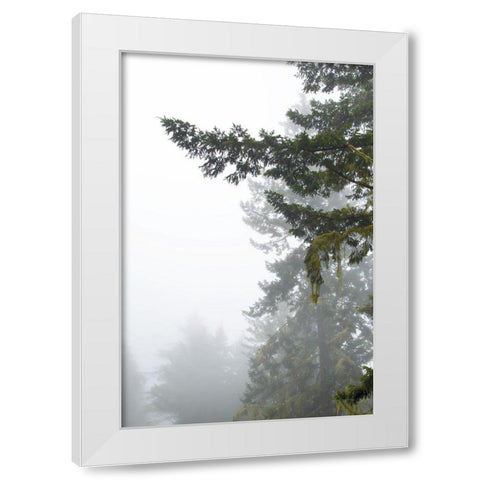 Majestic Pines II White Modern Wood Framed Art Print by Van Swearingen, Debra