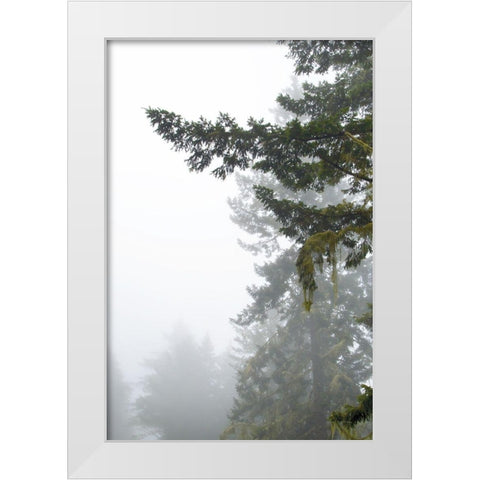 Majestic Pines II White Modern Wood Framed Art Print by Van Swearingen, Debra